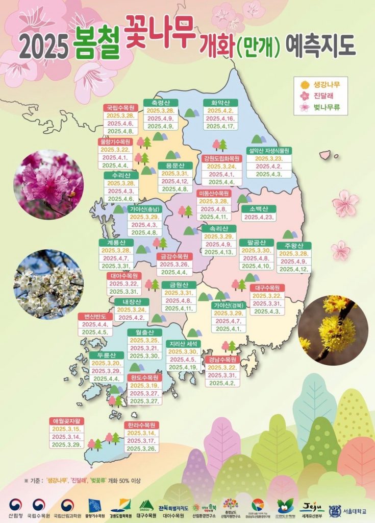 2025년 전국 봄꽃지도